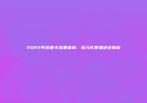 2025年校园卡流量查询：多元化便捷途径解析