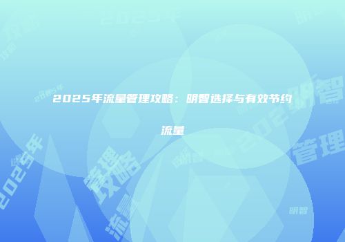 2025年流量管理攻略：明智选择与有效节约流量