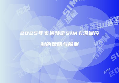 2025年实现特定SIM卡流量控制的策略与展望
