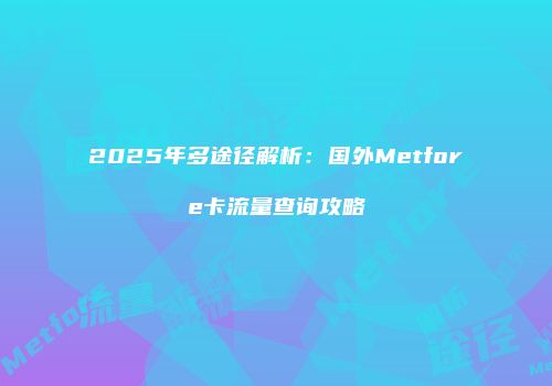 2025年多途径解析：国外Metfore卡流量查询攻略