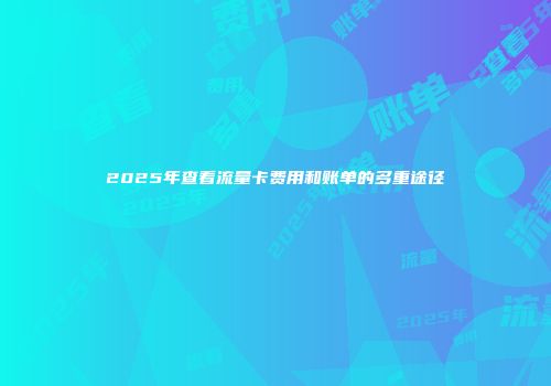 2025年查看流量卡费用和账单的多重途径