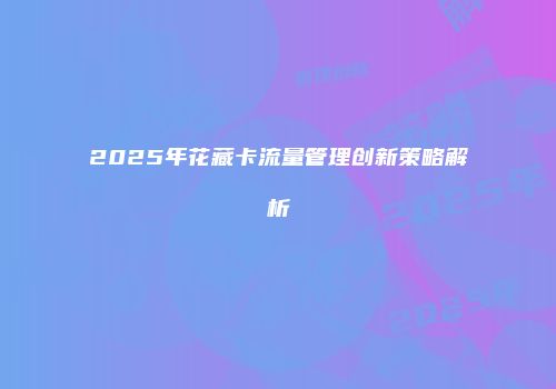2025年花藏卡流量管理创新策略解析