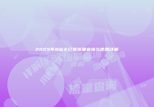 2025年B站卡已免流量查询与使用详解