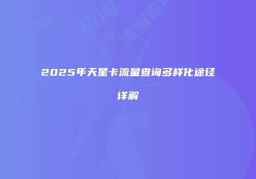 2025年天星卡流量查询多样化途径详解