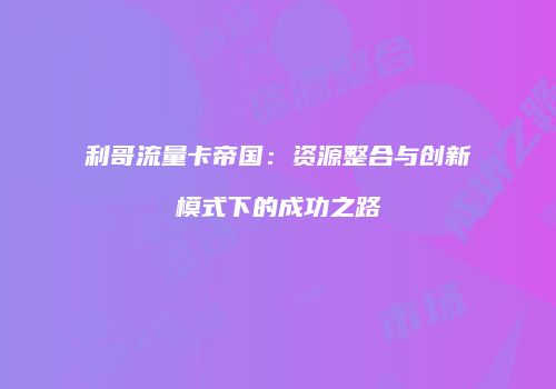 利哥流量卡帝国：资源整合与创新模式下的成功之路