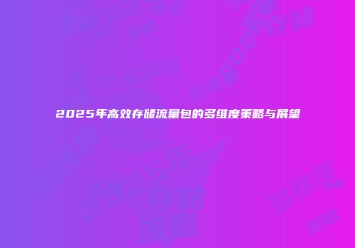 2025年高效存储流量包的多维度策略与展望