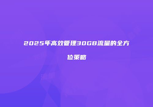 2025年高效管理30GB流量的全方位策略