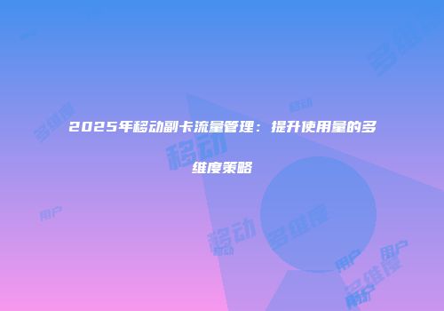 2025年移动副卡流量管理：提升使用量的多维度策略