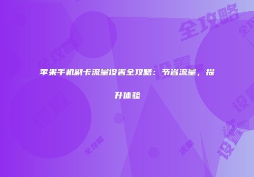 苹果手机副卡流量设置全攻略：节省流量，提升体验