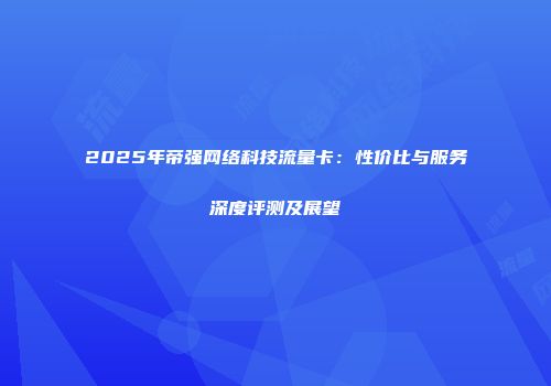 2025年帝强网络科技流量卡：性价比与服务深度评测及展望
