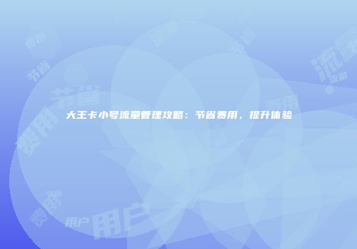 大王卡小号流量管理攻略：节省费用，提升体验