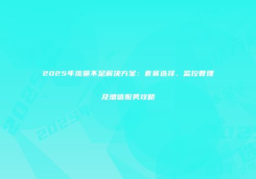 2025年流量不足解决方案：套餐选择、监控管理及增值服务攻略