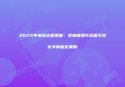 2025年电商运营策略：多维度提升流量与转化率的优化策略