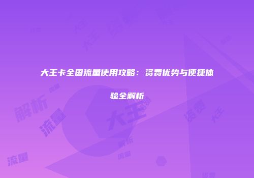 大王卡全国流量使用攻略：资费优势与便捷体验全解析
