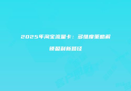 2025年淘宝流量卡：多维度策略解锁盈利新路径