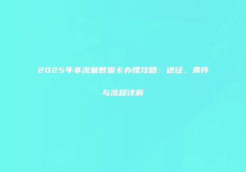 2025年非流量数据卡办理攻略：途径、条件与流程详解