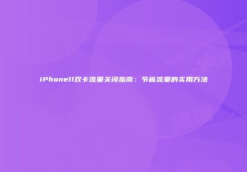 iPhone11双卡流量关闭指南：节省流量的实用方法