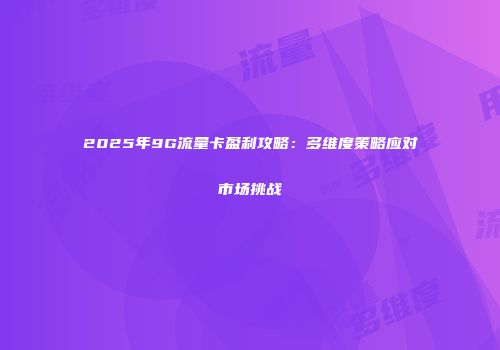 2025年9G流量卡盈利攻略：多维度策略应对市场挑战