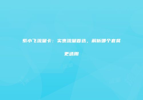 紫小飞流量卡：实惠流量首选，解析哪个套餐更适用