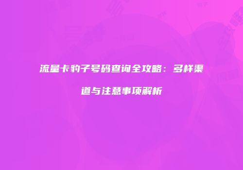 流量卡豹子号码查询全攻略：多样渠道与注意事项解析