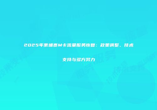 2025年柬埔寨M卡流量服务恢复：政策调整、技术支持与多方努力