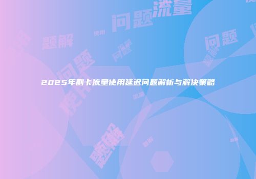 2025年副卡流量使用延迟问题解析与解决策略