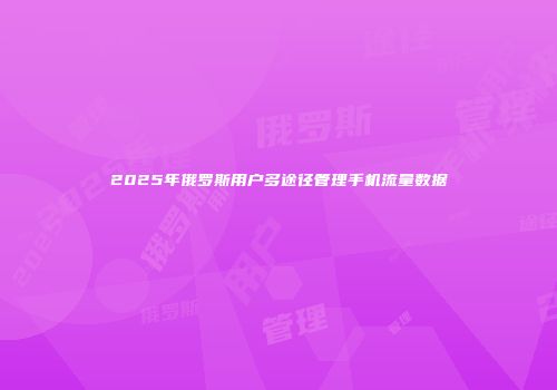2025年俄罗斯用户多途径管理手机流量数据