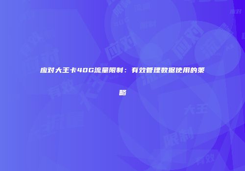 应对大王卡40G流量限制：有效管理数据使用的策略
