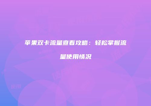 苹果双卡流量查看攻略：轻松掌握流量使用情况