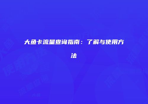 大鱼卡流量查询指南：了解与使用方法