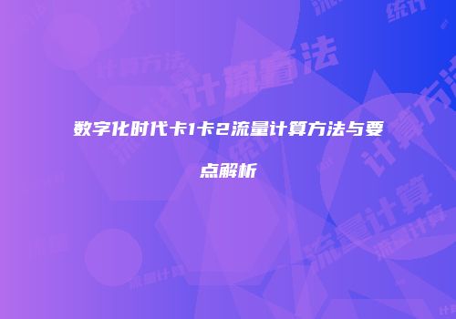 数字化时代卡1卡2流量计算方法与要点解析