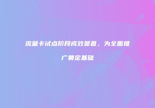 流量卡试点阶段成效显著，为全面推广奠定基础
