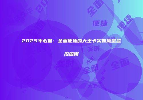 2025年必备：全面便捷的大王卡实时流量监控应用