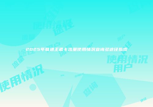2025年联通王者卡流量使用情况查询多途径指南