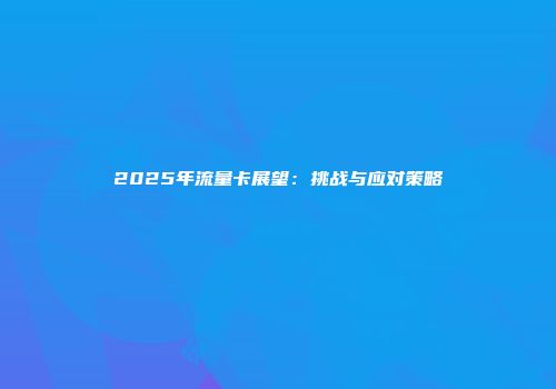 2025年流量卡展望：挑战与应对策略