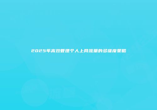 2025年高效管理个人上网流量的多维度策略