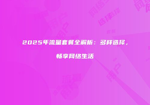 2025年流量套餐全解析：多样选择，畅享网络生活