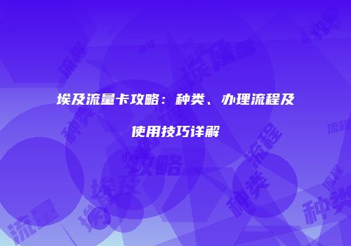 埃及流量卡攻略：种类、办理流程及使用技巧详解