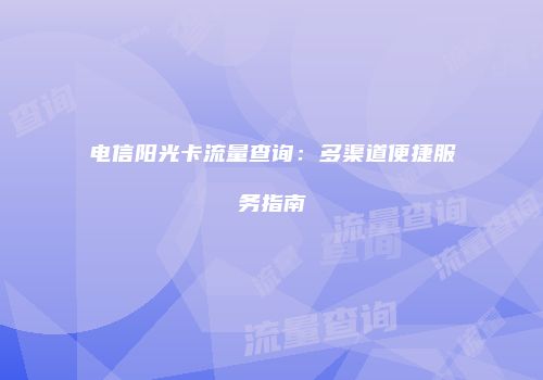 电信阳光卡流量查询：多渠道便捷服务指南