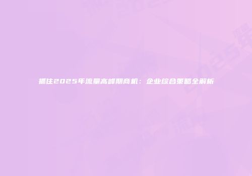 抓住2025年流量高峰期商机：企业综合策略全解析