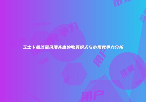 芝士卡超流量灵活实惠的收费模式与市场竞争力分析