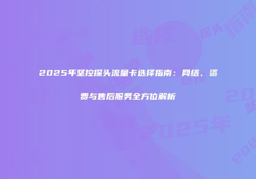 2025年坚控探头流量卡选择指南：网络、资费与售后服务全方位解析