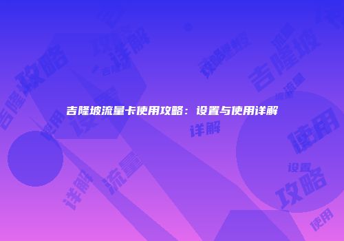 吉隆坡流量卡使用攻略：设置与使用详解