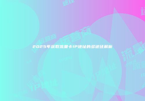 2025年获取流量卡IP地址的多途径解析