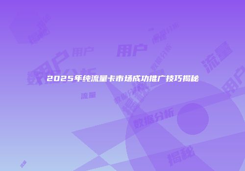 2025年纯流量卡市场成功推广技巧揭秘