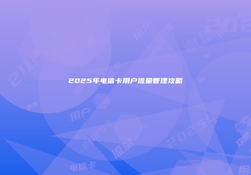 2025年电信卡用户流量管理攻略
