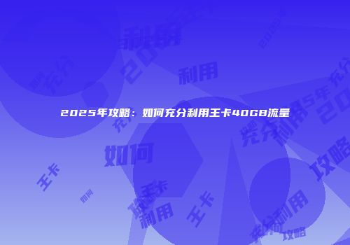 2025年攻略：如何充分利用王卡40GB流量