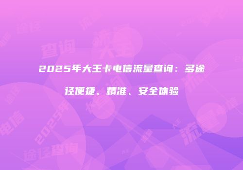 2025年大王卡电信流量查询：多途径便捷、精准、安全体验