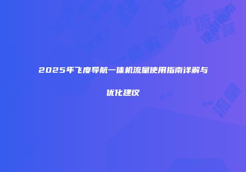 2025年飞度导航一体机流量使用指南详解与优化建议
