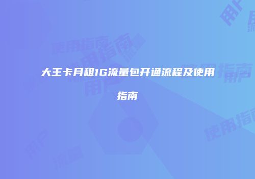 大王卡月租1G流量包开通流程及使用指南